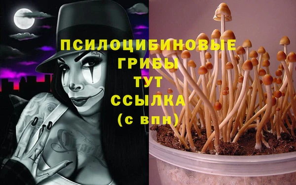ECSTASY Алзамай