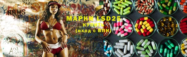 ECSTASY Алзамай