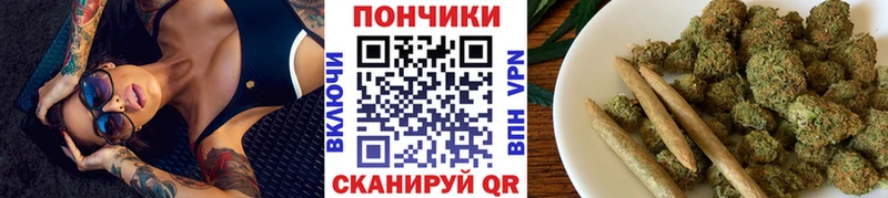 Канабис ГИДРОПОН  omg зеркало  Злынка  где найти  